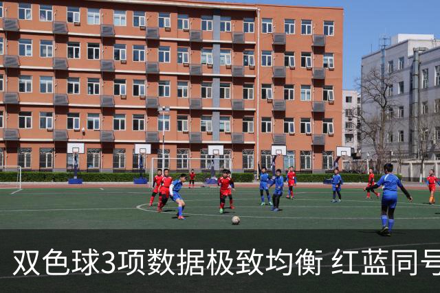 双色球3项数据极致均衡 红蓝同号或成制胜法宝